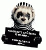 Vartotojo avataras
